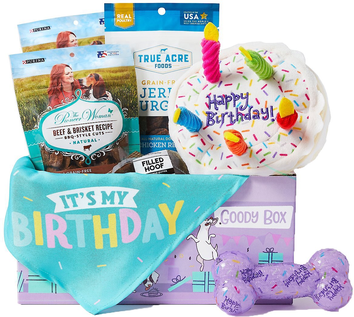 Goody Box Birthday Dog Toys & Treats, Medium/Large