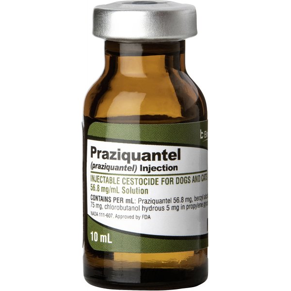 Praziquantel liquid 2025 for cats