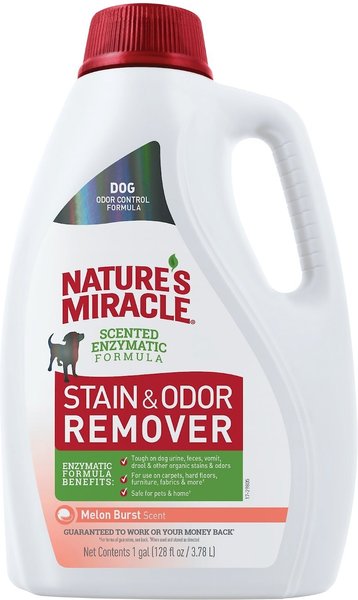 Nature's Miracle Dog Enzymatic Stain & Odor Remover, Melon Burst Scent, 1-gal bottle slide 1 of 6