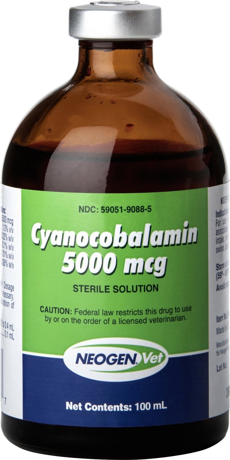 CYANOCOBALAMIN Vitamin B12 Injectable Solution for Horses, 5000mcg