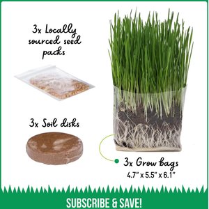 The Cat Ladies Organic Pet Grass Grow Kit, 3 count