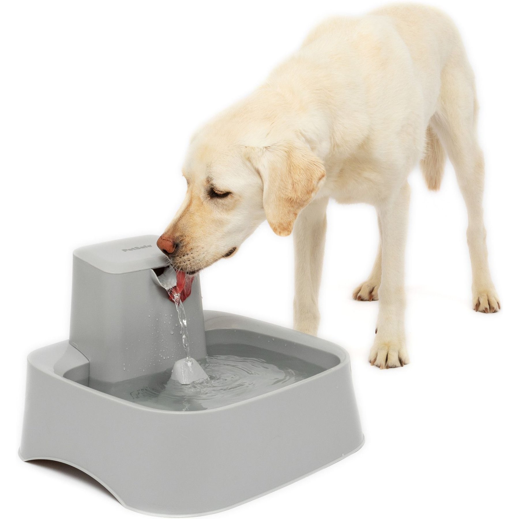 Chewy cat water fountain sale