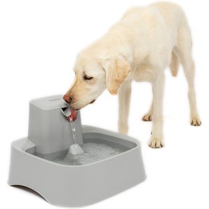PetSafe Drinkwell 2-Gallon Pet Drinking Fountain, 2-gallon