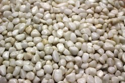 Exotic Pebbles Polished Snow White Reptile & Terrarium Gravel, 20-lb bag slide 2 of 2