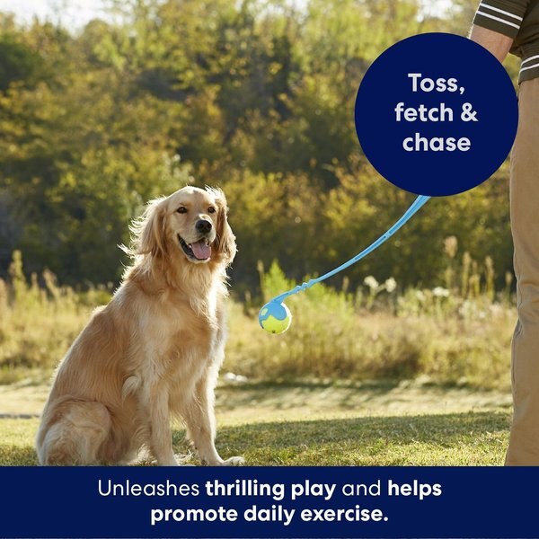 Frisco Ball Launcher & Fetch Squeaky Tennis Ball Dog Toy