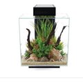 Fluval Edge 2.0 Glass Aquarium Kit, Black, 12-gal