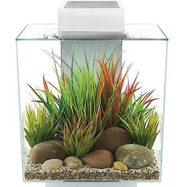 FLUVAL Glass Aquarium Kit, White, 12-gal - Chewy.com