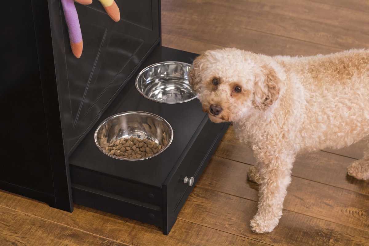 Windsor store pet feeder