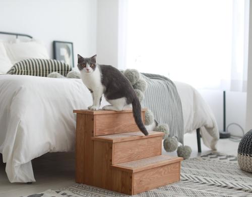 Show full view: ZooVilla Yorkshire Pet Step & Storage slide 2 of 10