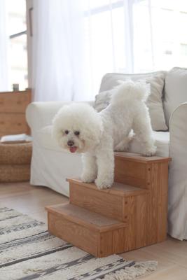 Show full view: ZooVilla Yorkshire Pet Step & Storage slide 6 of 10