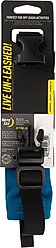 Nite Ize RadDog All-In-One Dog Collar + Leash, Blue, Small slide 2 of 6