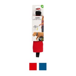 Nite Ize RadDog All-In-One Dog Collar + Leash, Red, Medium