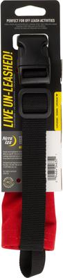 Show full view: Nite Ize RadDog All-In-One Dog Collar + Leash, Red, Medium slide 2 of 6
