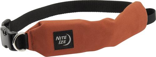 Show full view: Nite Ize RadDog All-In-One Dog Collar + Leash, Red, Medium slide 5 of 6