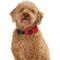 Show in main carousel: Nite Ize RadDog All-In-One Dog Collar + Leash, Red, Medium slide 6 of 6