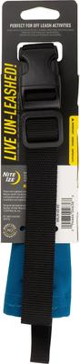 Show full view: Nite Ize RadDog All-In-One Dog Collar + Leash, Blue, Medium slide 2 of 6