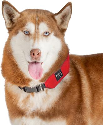 Show full view: Nite Ize RadDog All-In-One Dog Collar + Leash, Red, Large slide 6 of 6