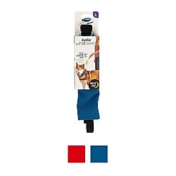 Nite Ize RadDog All-In-One Dog Collar + Leash, Blue, Large