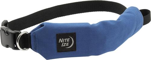 Show full view: Nite Ize RadDog All-In-One Dog Collar + Leash, Blue, X Large slide 5 of 6
