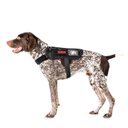 OneTigris Apollo 09 Tactical Dog Harness, Black, 17 to 35-in chest