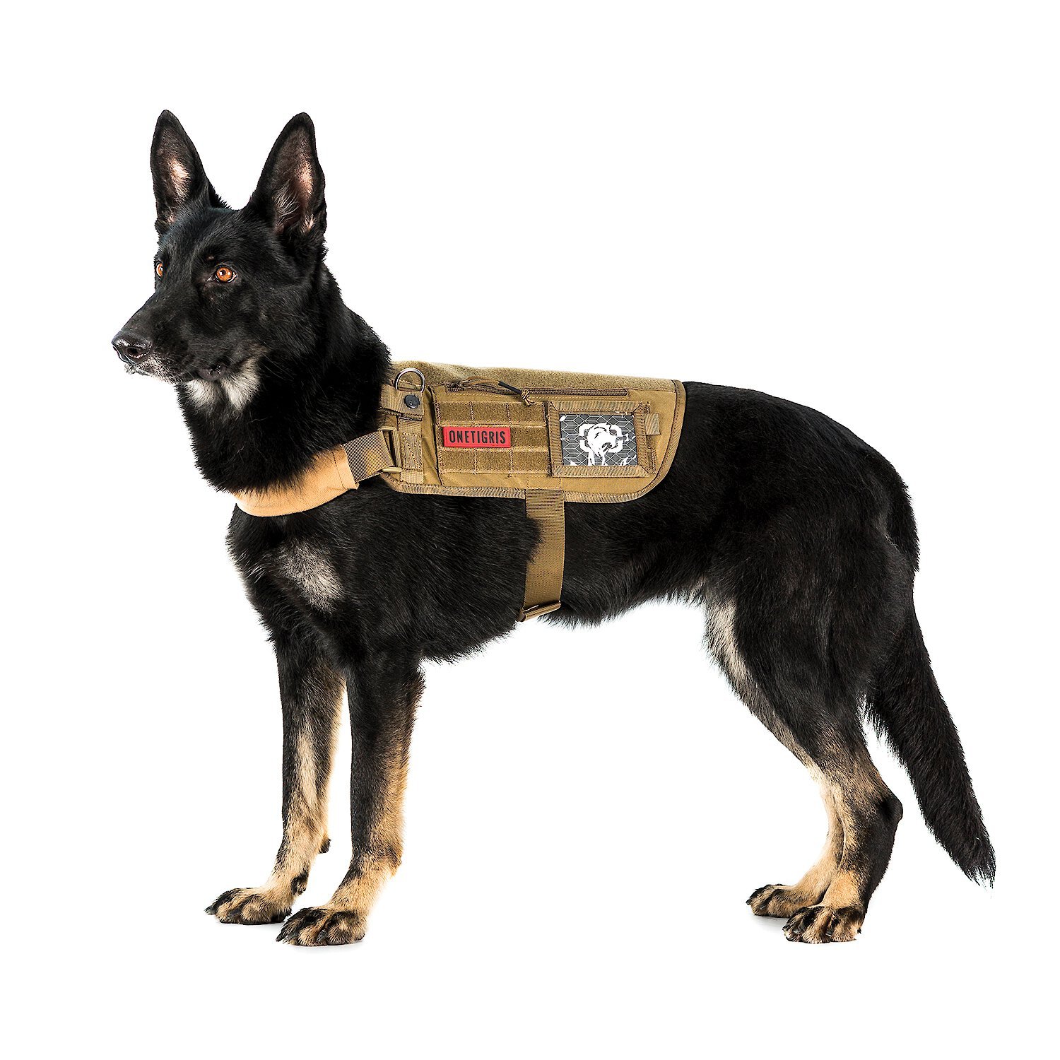 Chewy best sale tactical harness