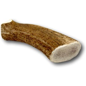 BUCK BONE ORGANICS Whole Elk Antler Dog Chews, 8 - 10 in - Chewy.com