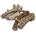 Top Dog Chews Premium Large Antler Dog Treats, 2-lb bag