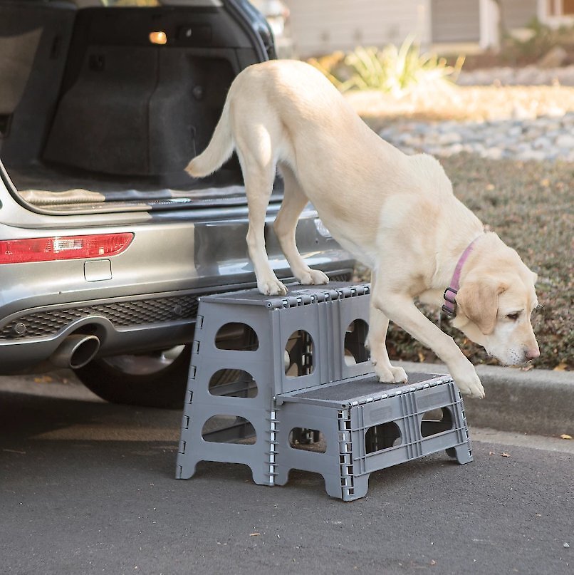 RANGE KLEEN Foldable Dog Car Stairs, Large
