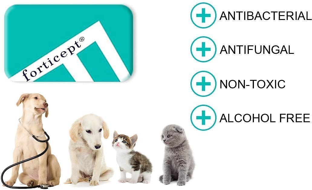 FORTICEPT Blue Butter Antimicrobial Gel for Dogs & Cats, 4oz