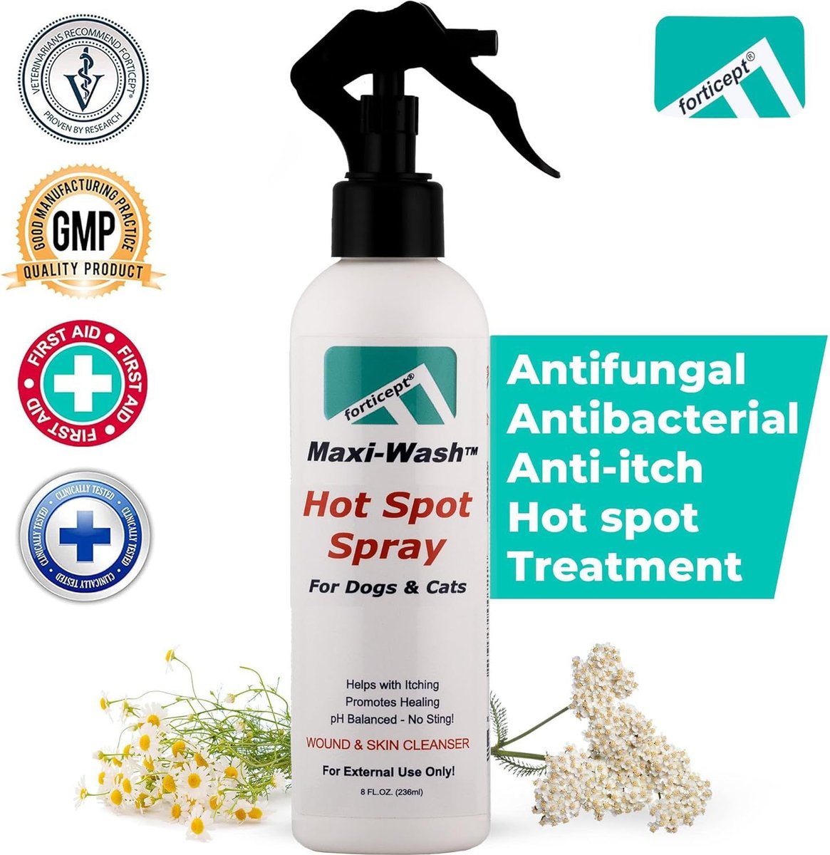 Human antiseptic spray outlet for dogs