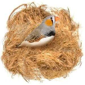 SunGrow Bird Nesting Coconut Fiber, Bedding Material for Parakeet & Finch Nest Box