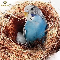 SunGrow Bird Nesting Coconut Fiber, Bedding Material for Parakeet & Finch Nest Box slide 2 of 4
