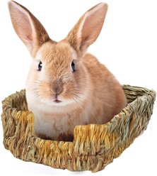 SunGrow Hay Feeder & Cage Food Dispenser Rabbit & Guinea Pig Grass Bed