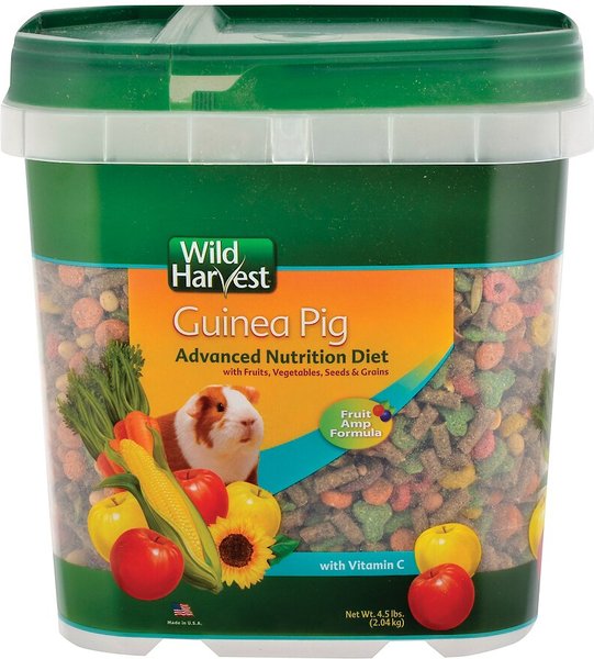Wild Harvest Advanced Nutrition Guinea Pig Food, 4.5-lb tub slide 1 of 4