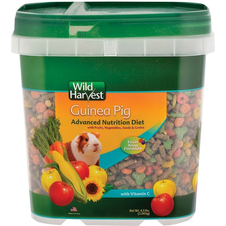 Image showcasing Guinea Pig Food | Feed Your Guinea Pigs Vegetables, Hay, Fruit & More ...