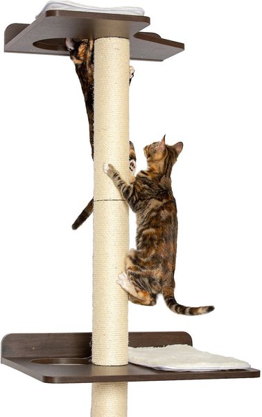 PetFusion 76.8 in Wall Mounted Cat Tree