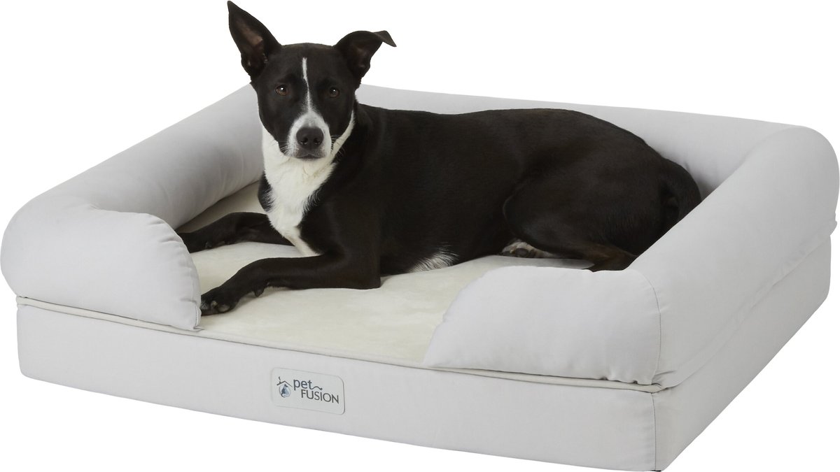 Petfusion dog bed clearance canada