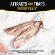 Black Flag Pantry Pest Glue Trap