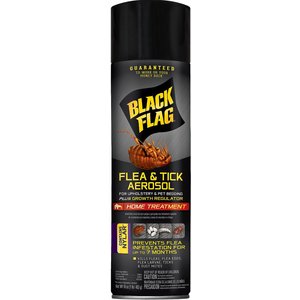 Black Flag Flea & Tick Aerosol Home Treatment Spray, 16-oz bottle