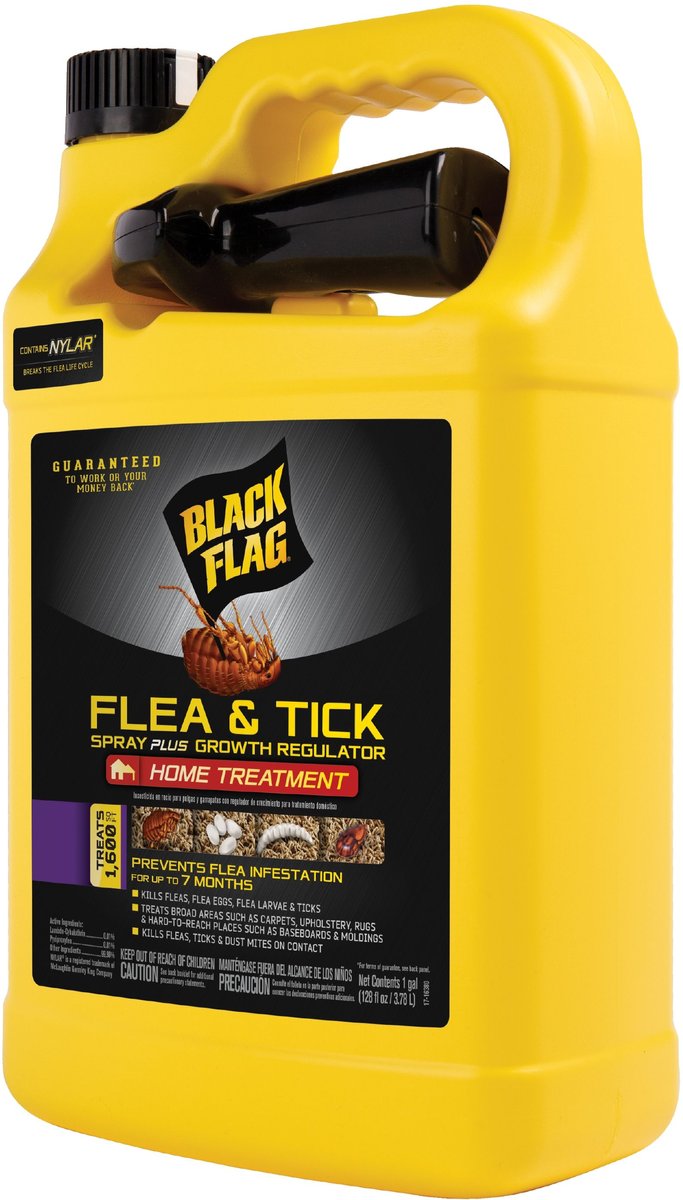 Black flag flea and tick spray home clearance treatment