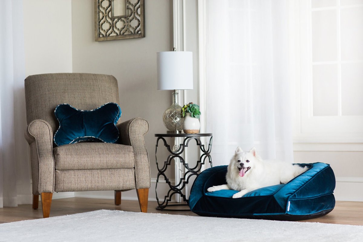 LAZBOY Tucker Bolster Dog Bed w/Removable Cover, Velvet Blue