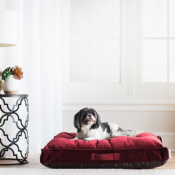 Discontinued - LA-Z-BOY Cooper Mattress Pillow Dog Bed w/Removable ...