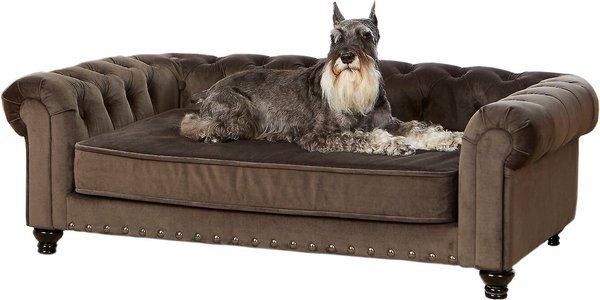 Large dog settee store bed