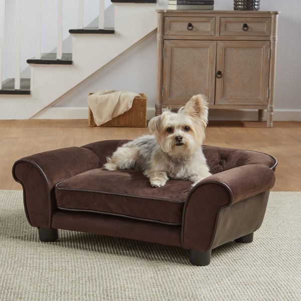 Enchanted Home Pet Cleo Sofa Cat & Dog Bed w/Removable Cover, Small slide 1 of 9