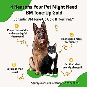 Pet Wellbeing BM Tone-Up GOLD for Diarrhea for Dogs & Cats, 2-oz bottle