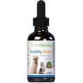 Pet Wellbeing Healthy Gums Liquid Dental Supplement for Cats & Dogs, 2-oz bottle