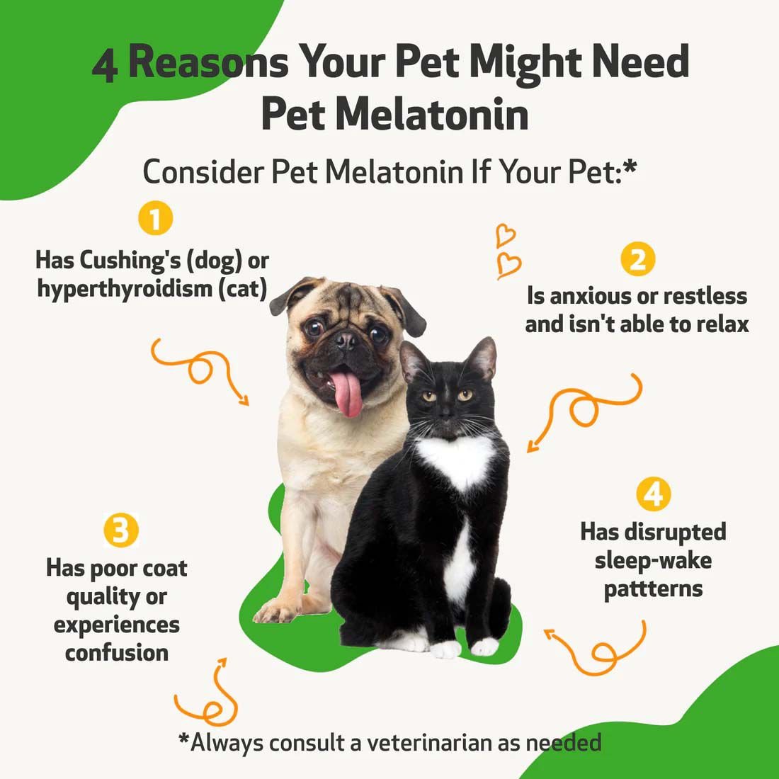 Liquid melatonin best sale for dogs