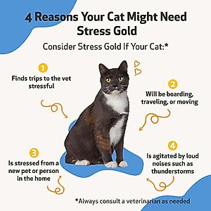 Pet Wellbeing Stress Gold Bacon Flavored Liquid Calming Supplement for Dogs & Cats, 2-oz bottle