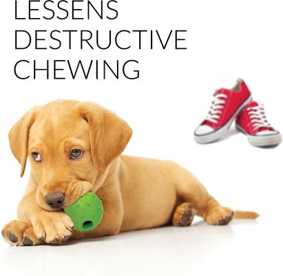 Show full view: Rocket & Rex Small & Medium Breeds Puppy Chew Toy Variety Pack, 6 count slide 8 of 18