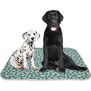Rocket & Rex Washable Puppy Training Pads, L: 36 x 30-in, 4 count, Unscented